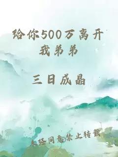 給你500萬離開我弟弟