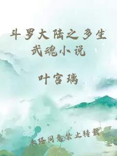 斗羅大陸之多生武魂小說