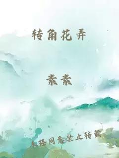 轉(zhuǎn)角花弄